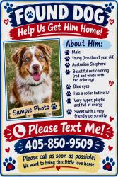 Found/Stray Male Dog last seen NW 12TH ST, Oklahoma City, OK 73107