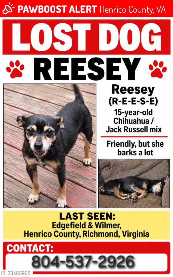 Lost Female Dog last seen Edgefield and wilmer avenue, Henrico County, VA 23227