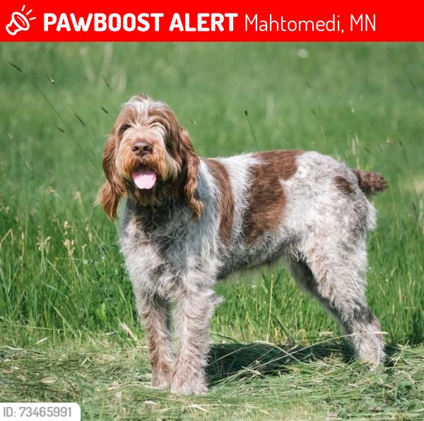 Lost Female Dog last seen By OHA, Mahtomedi, MN 55115