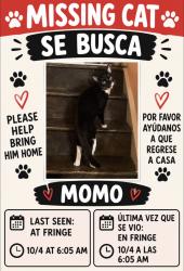 Lost Male Cat last seen Near fringe tree dr, Charlotte, NC 28227