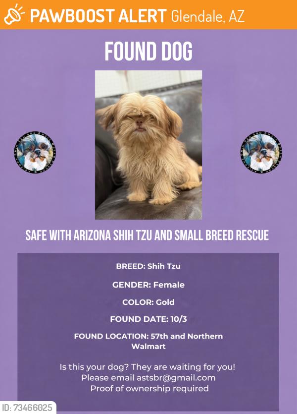 Found/Stray Female Dog last seen 57th ave and Northern Walmart, Glendale, AZ 85304