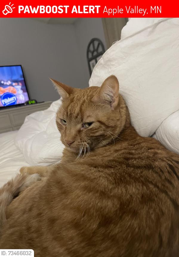 Lost Male Cat last seen 157th Galaxie ave, Apple Valley, MN 55124