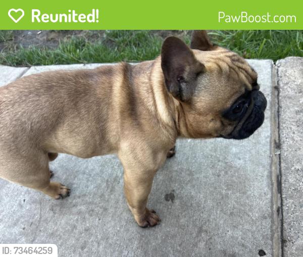 Reunited Male Dog last seen Payne Ave, Saint Paul, MN 55130