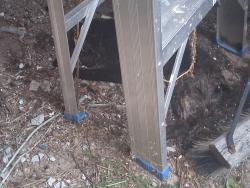 Found/Stray Unknown Cat last seen Wilcox Rd & Rathburn Rd E, Mississauga, ON L4Z 1B7