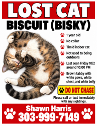 Reunited Male Cat last seen N Pershing St & W Mecklin St, Fayetteville, AR 72704