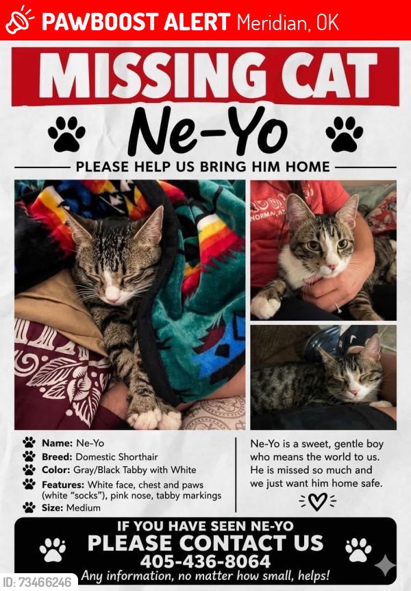 Lost Male Cat last seen Choctaw Rd and E Charter Oak, Meridian, OK 73058