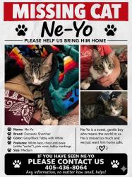Lost Male Cat last seen Choctaw Rd and E Charter Oak, Meridian, OK 73058