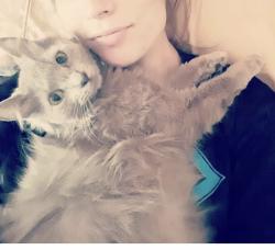 Lost Female Cat last seen W . 26th Ave, by Chilkoot Charlie's Bar, Anchorage, AK 99503