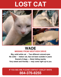 Reunited Male Cat last seen Edwards Road. Hampton road, Lyman, SC 29365