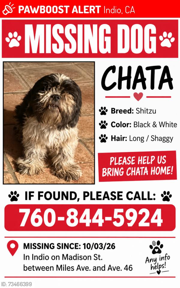 Lost Female Dog last seen Madison St between Miles Ave. and Ave. 46, Indio, CA 92201