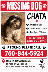 Lost Female Dog last seen Madison St between Miles Ave. and Ave. 46, Indio, CA 92201