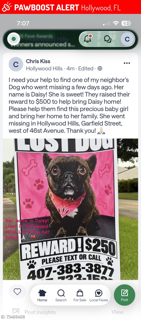 Lost Female Dog last seen 46st Avenue &Garfield, Hollywood, FL 33021