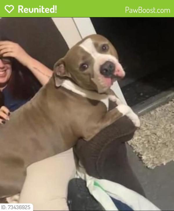 Reunited Male Dog last seen ellis road S, Jacksonville, FL 32205