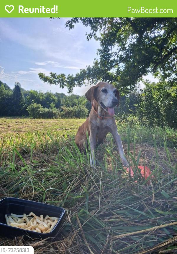 Reunited Female Dog last seen Winndale road, Dallas, GA 30157