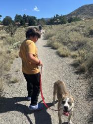 Lost Female Dog last seen East tramway and menaul, Albuquerque, NM 87112