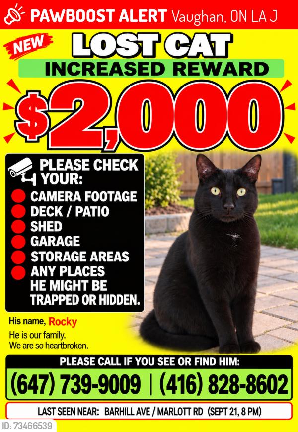 Lost Male Cat last seen Near Marlott rd, Vaughan, ON L6A 0J6