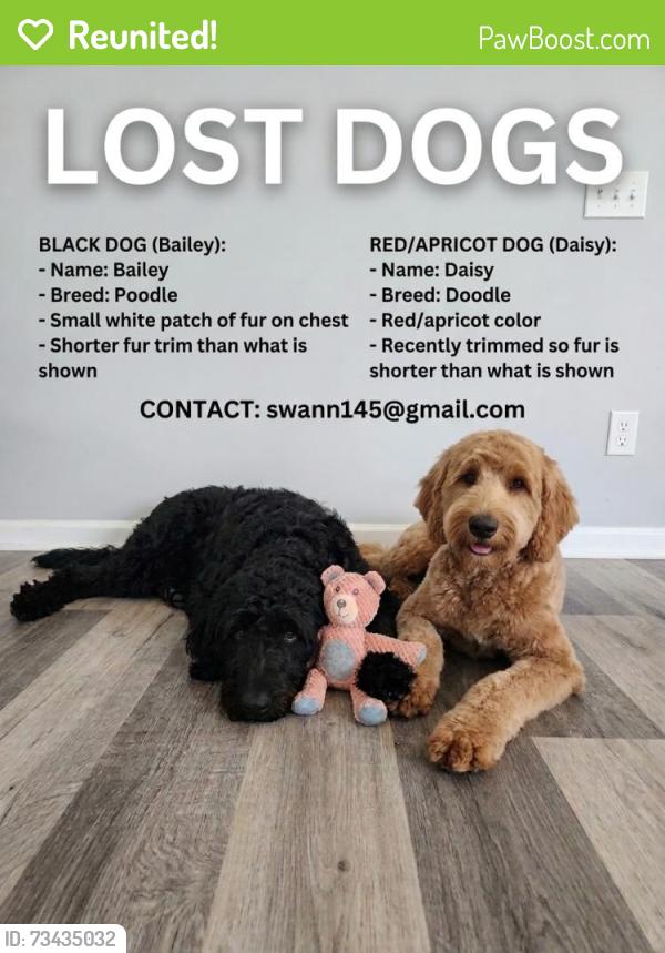 Reunited Female Dog last seen Near Harvey Rd and Rocky Plains Rd, Covington, GA 30016