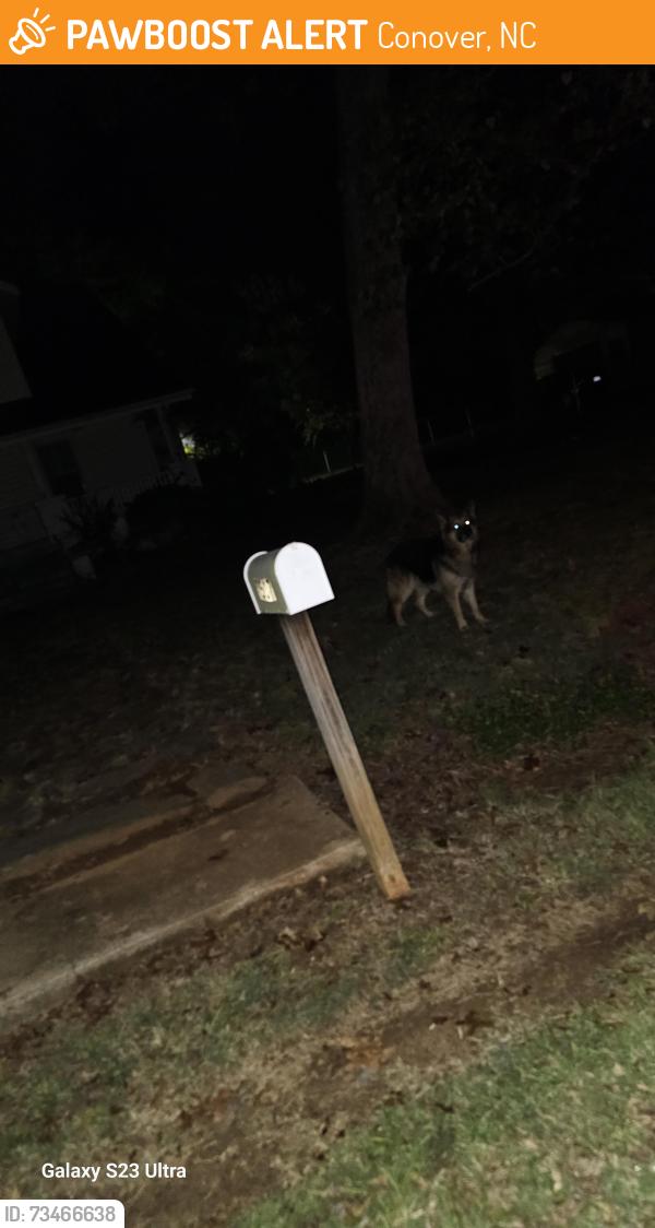 Found/Stray Unknown Dog last seen Closer to Mt olive church road, Conover, NC 28613