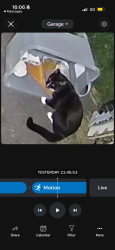 Found/Stray Unknown Cat last seen Betsy Williams circle, Johnston, RI 02828