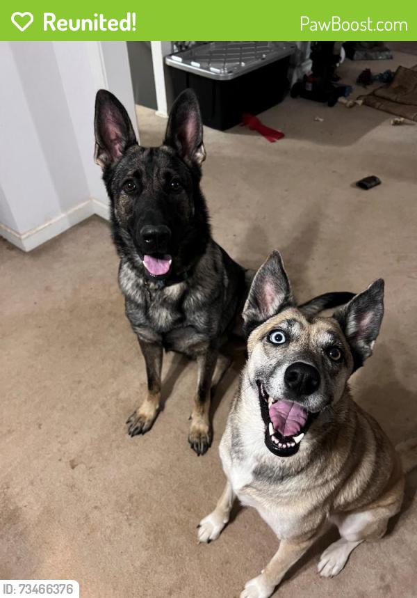 Reunited Female Dog last seen Little Ridge Rd, Acworth, GA 30102