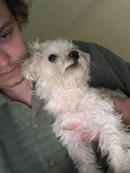 Reunited Male Dog last seen Near, Hutto, TX 78634