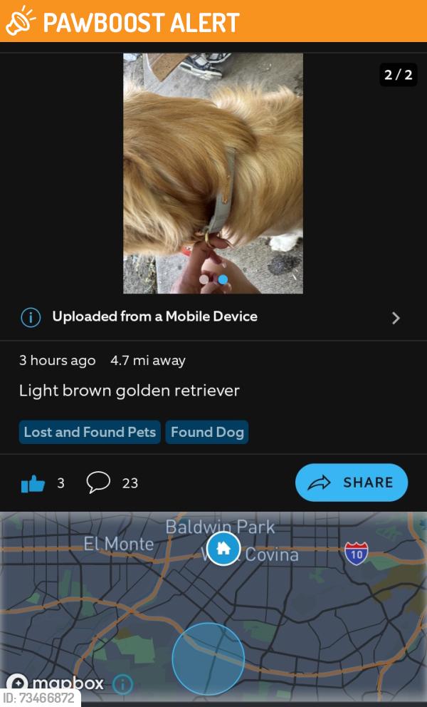 Found/Stray Unknown Dog last seen Manzanita Park. Unsure as to exact location. Someone found him but had to leave. Golden retriever with light blue collar. I think its a male., Hacienda Heights, CA 91745