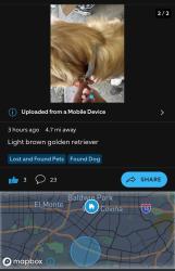 Found/Stray Unknown Dog last seen Manzanita Park. Unsure as to exact location. Someone found him but had to leave. Golden retriever with light blue collar. I think its a male., Hacienda Heights, CA 91745