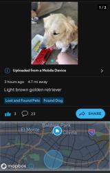 Found/Stray Male Dog last seen Manzanita Park Golden retriever with collar., Hacienda Heights, CA 91745