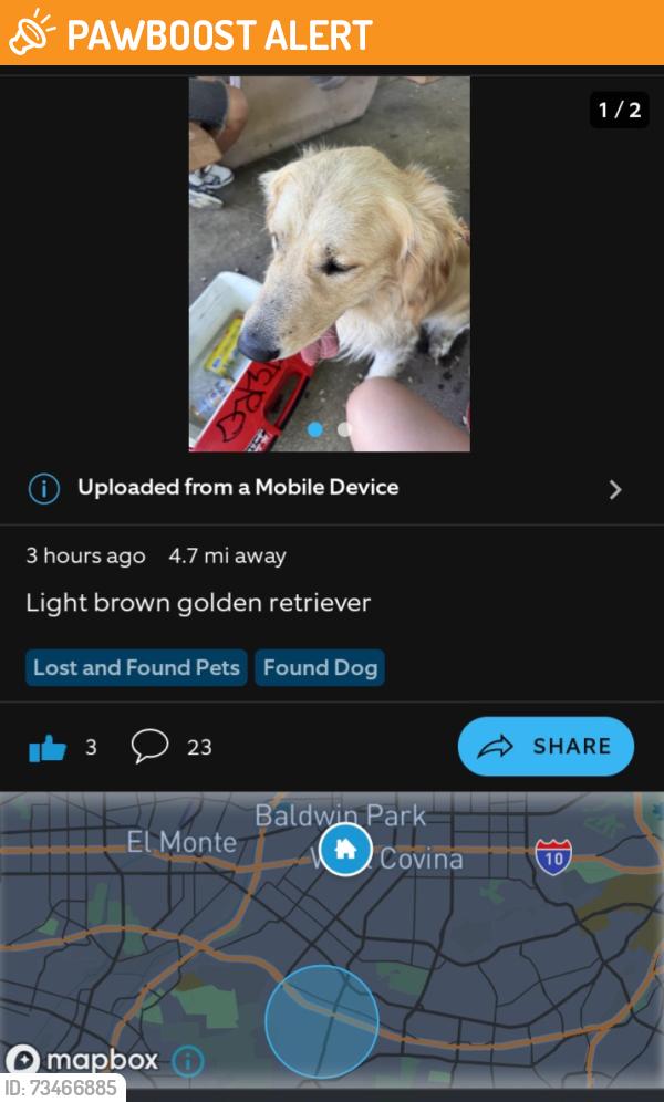 Found/Stray Male Dog last seen Manzanita Park Golden retriever with collar., Hacienda Heights, CA 91745