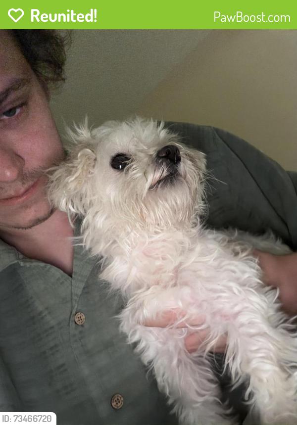 Reunited Male Dog last seen Near, Hutto, TX 78634