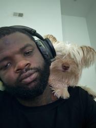 Reunited Male Dog last seen Macdade blvd, Darby, PA 19023