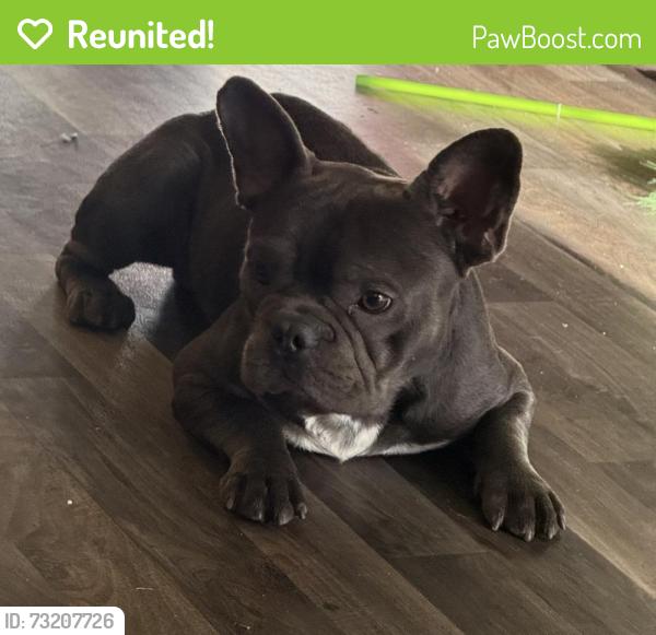 Reunited Male Dog last seen Modesto DMV, Modesto, CA 95354