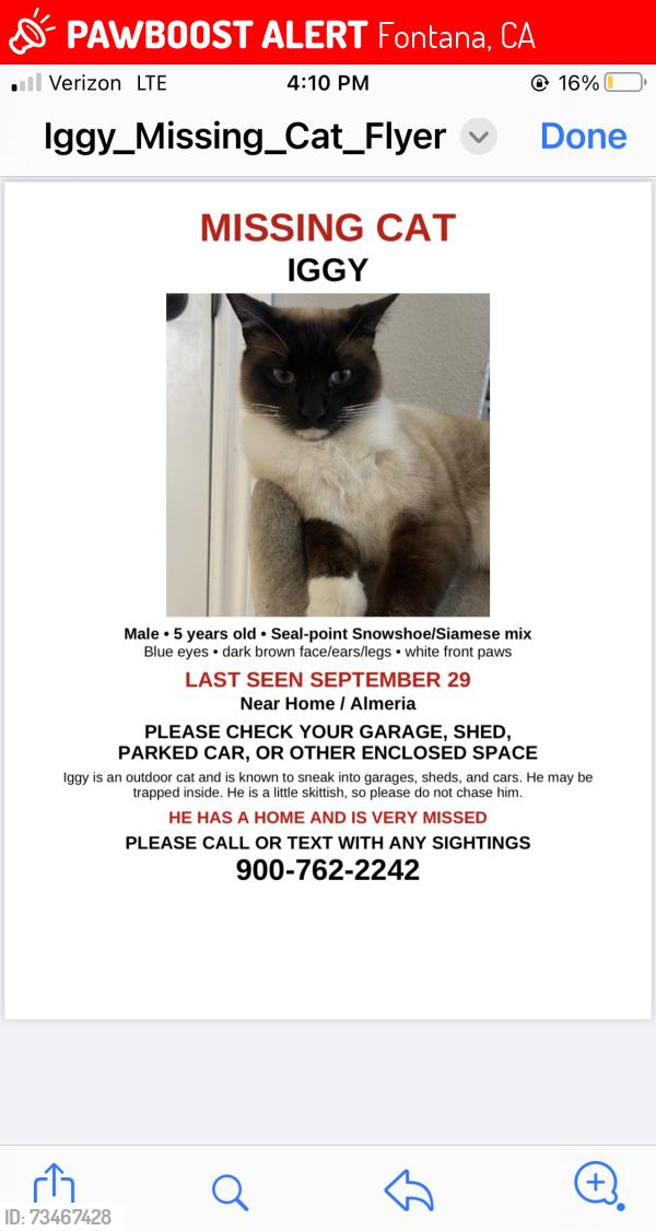 Lost Male Cat last seen Almeria/HomeCt Fontana, Fontana, CA 92335