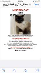 Lost Male Cat last seen Almeria/HomeCt Fontana, Fontana, CA 92335