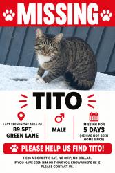 Lost Male Cat last seen Charity, West Midlands, England B9 5PT