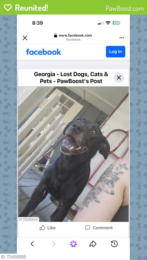Reunited Male Dog last seen Near gas station, LaFayette, GA 30728