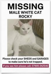 Lost Male Cat last seen Churchill Road B9, West Midlands, England 