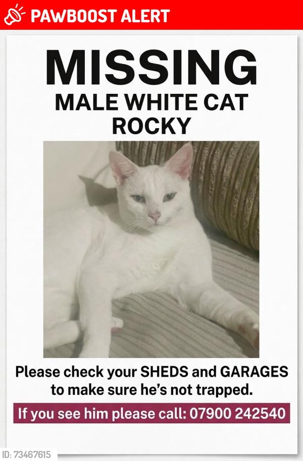 Lost Male Cat last seen Churchill Road B9, West Midlands, England 