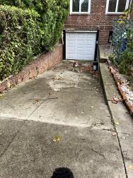 Found/Stray Unknown Dog last seen Avenue U Marine Park, Brooklyn, NY 11234