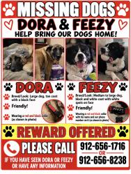 Lost Female Dog last seen Towles rd, Bloomingdale, GA 31302