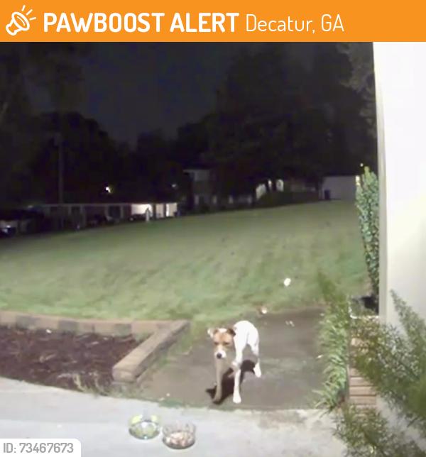 Found/Stray Unknown Dog last seen Near Terratim Lane, Decatur, GA 30034