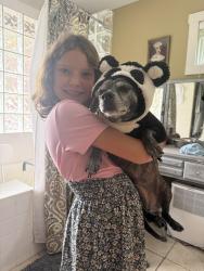 Lost Female Dog last seen Duckett road, Candler, NC 28715