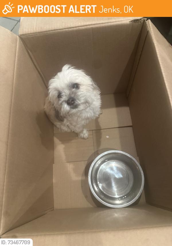 Found/Stray Female Dog last seen Hatch Jenks Restaurant, Jenks, OK 74037