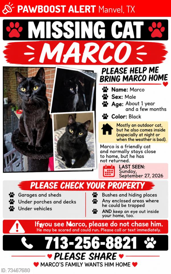 Lost Male Cat last seen Lakeland Subdivision / Limestone Circle / Manvel, Manvel, TX 77578