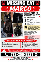 Lost Male Cat last seen Lakeland Subdivision / Limestone Circle / Manvel, Manvel, TX 77578