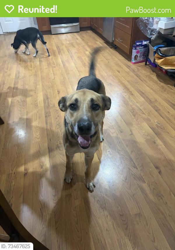 Reunited Male Dog last seen Underwood Laporte, La Porte, TX 77571
