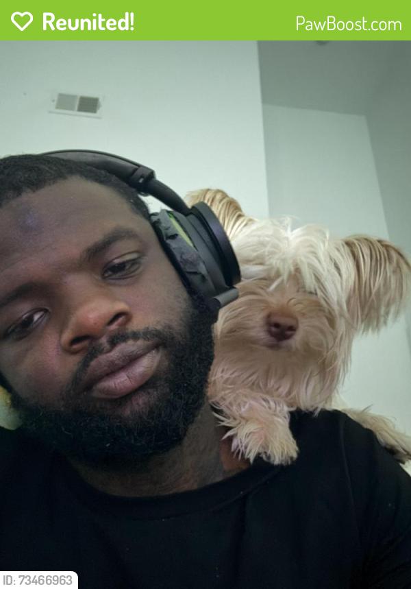 Reunited Male Dog last seen Macdade blvd, Darby, PA 19023