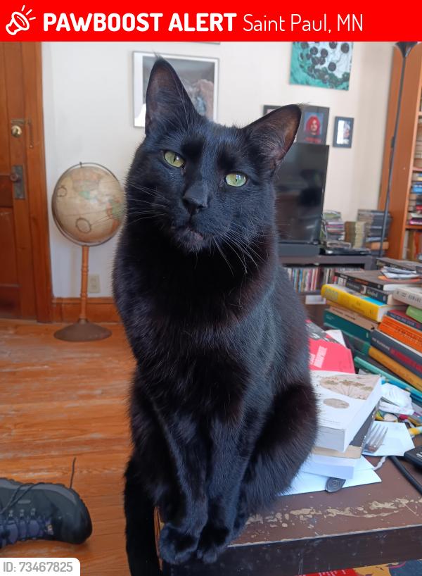 Lost Male Cat last seen Grand Ave between Pascal and Albert, Saint Paul, MN 55105
