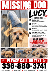 Lost Female Dog last seen New hwy 64 and Kindley rd, Thomasville, NC 27360