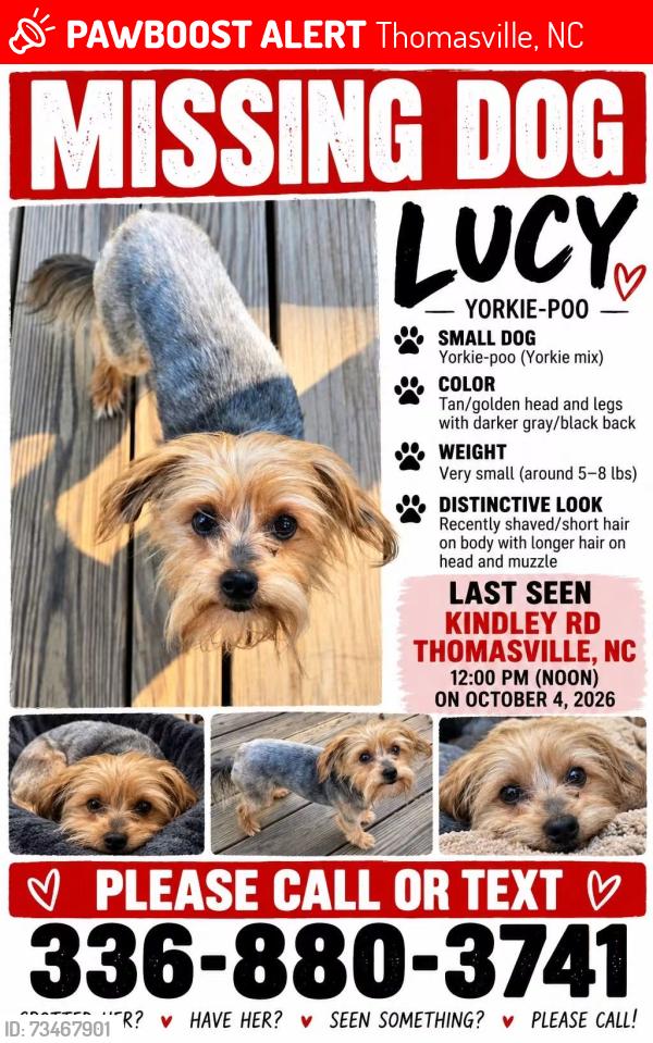 Lost Female Dog last seen Kindley Road, Thomasville, NC 27360